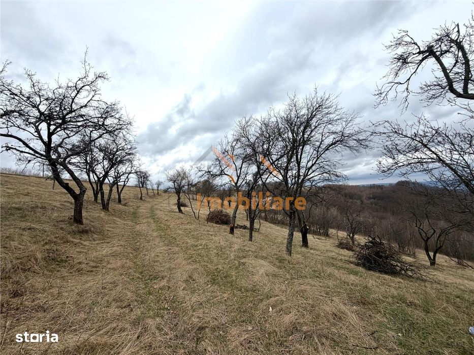 Teren 34.000 Mp | Serani Bihor
