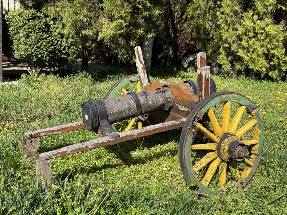 Декоративно черешово топче