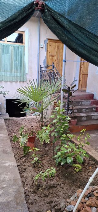 Участок, район яшнабад