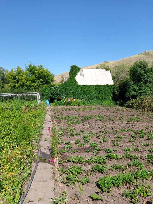 Продам дачу в обществе СПП, 9 соток