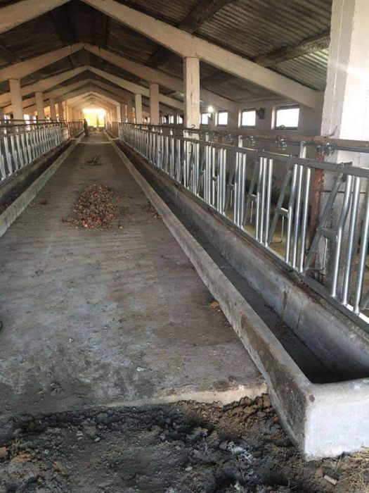 Front de Furajare Bovine ultimele bucati