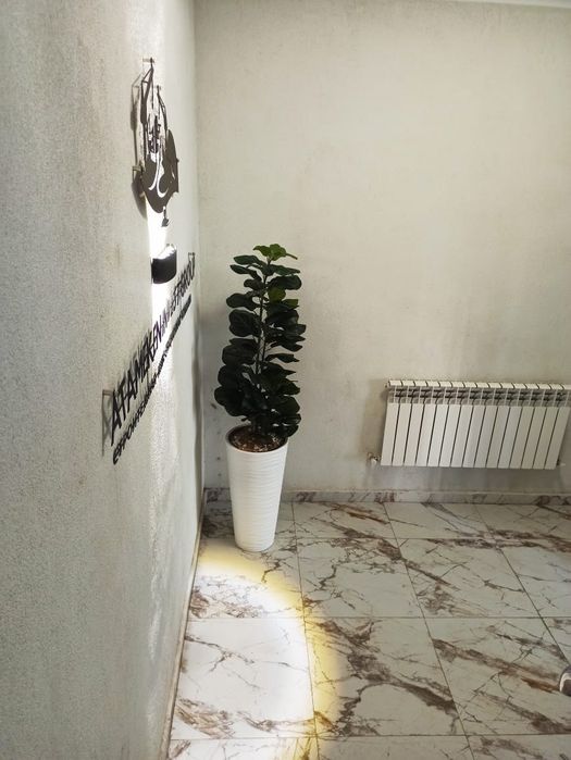 Квартира 2 комнатная