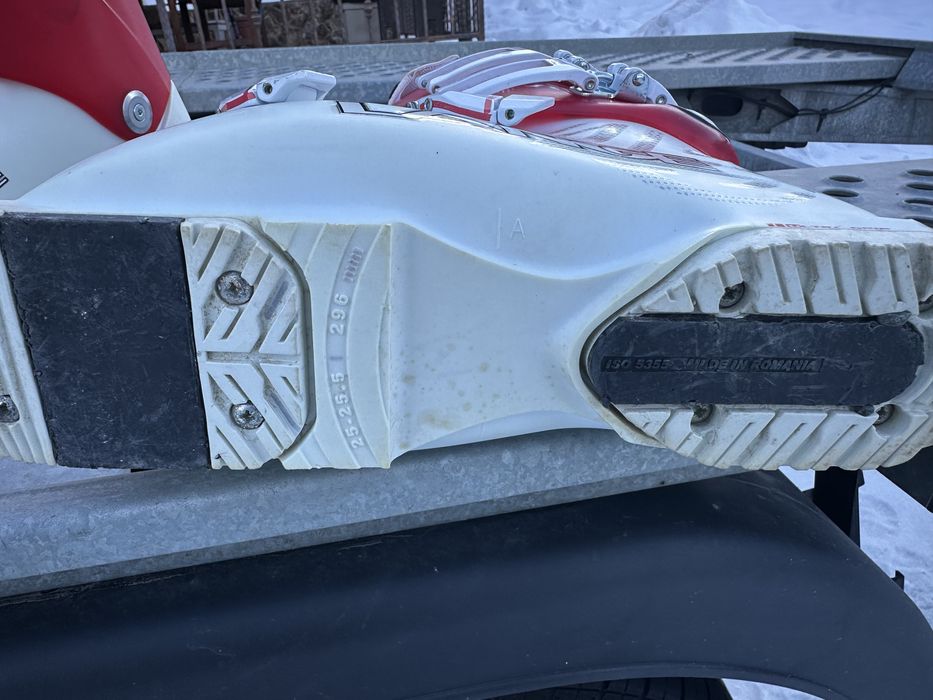 Vand clapari diferite marimi si o pereche de skiuri