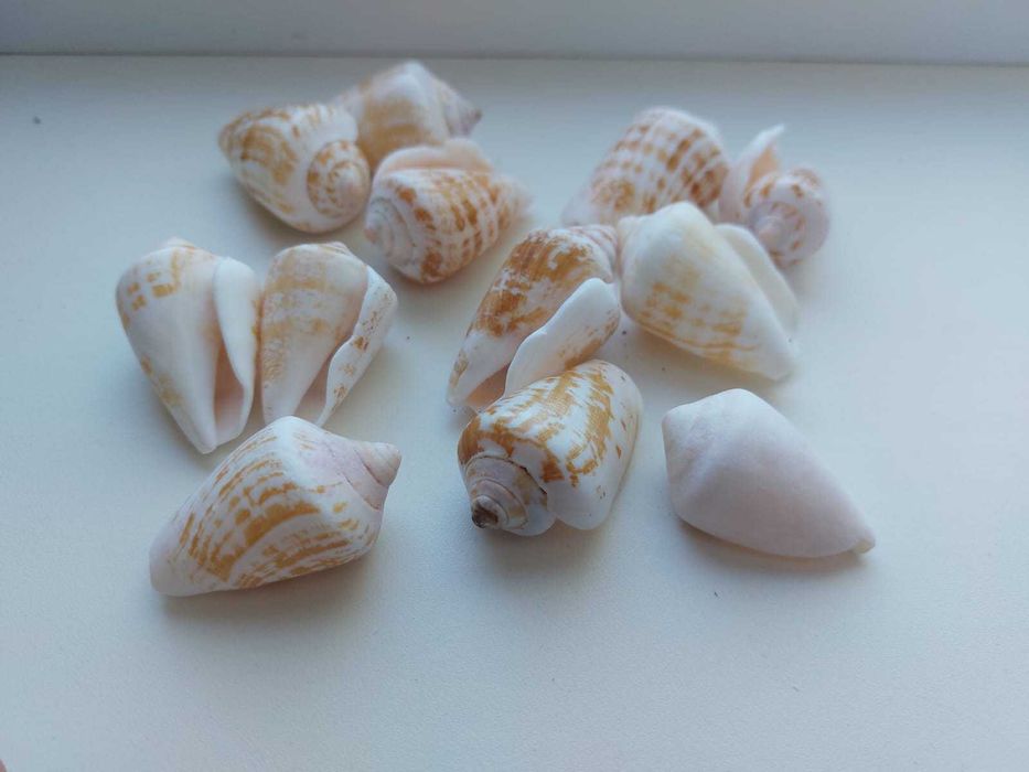 Аквариум 120 литров