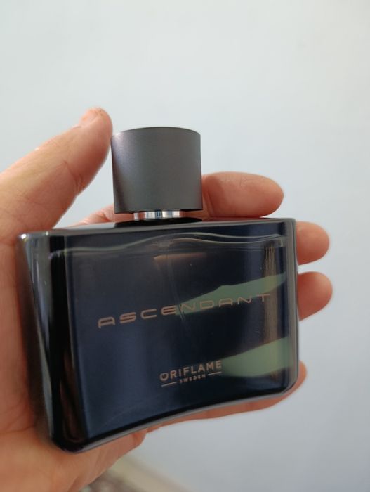 ASENDANT erkaklar atiri dastavka bor