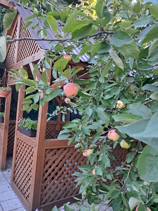 Продам дом в Бишкуле