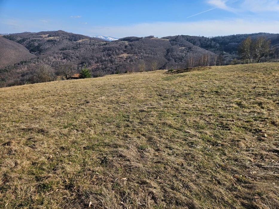 Teren intravilan de vanzare Damis