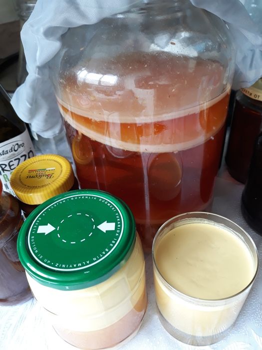 Боров прашец суров веган , Български