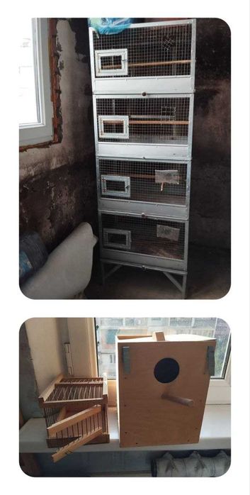 Клетки Дуплянки, Переноски