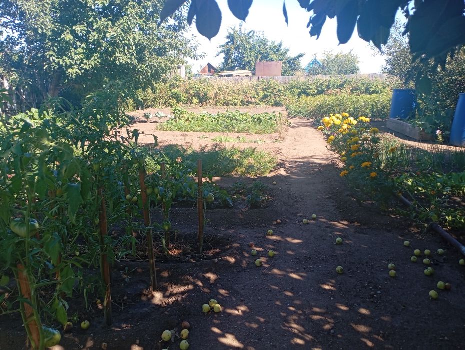 Продам дачу в городе