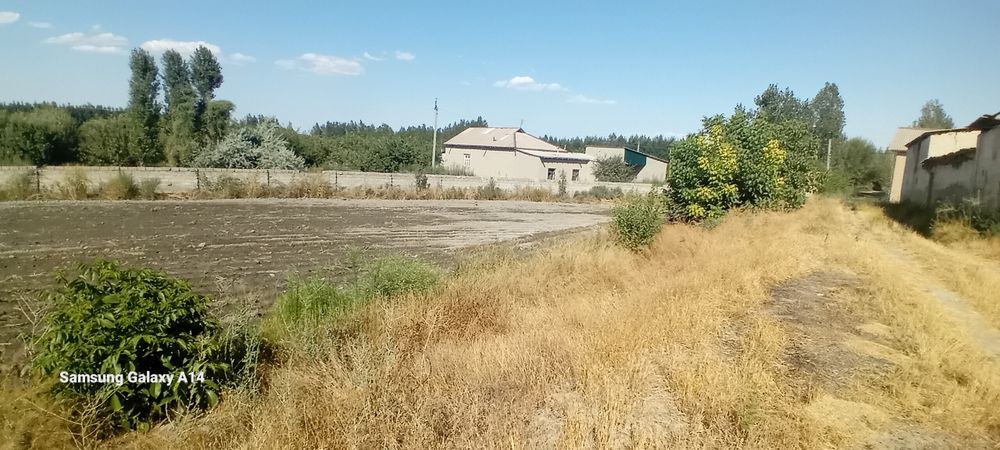 Uy joy sotiladi hovli