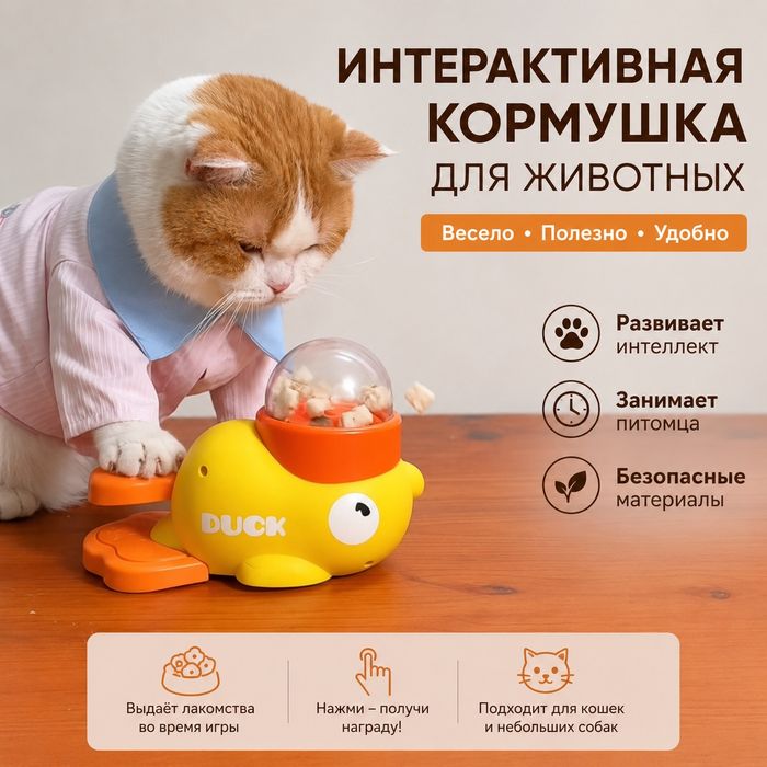 Разные вещи, обувь, игрушки для животных.