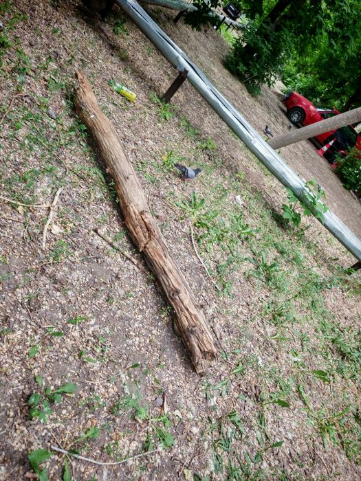 Дрова бесплатно самовывоз