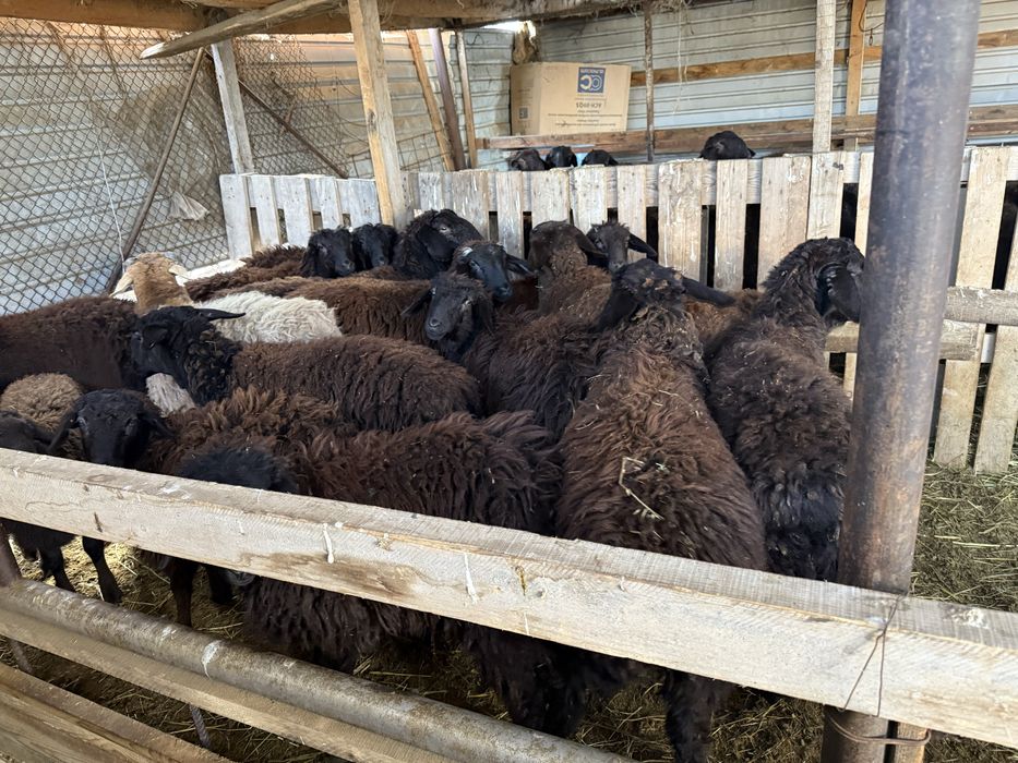 Срочно продается