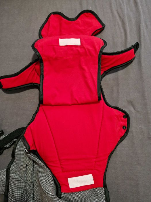 Кенгуро чиполино