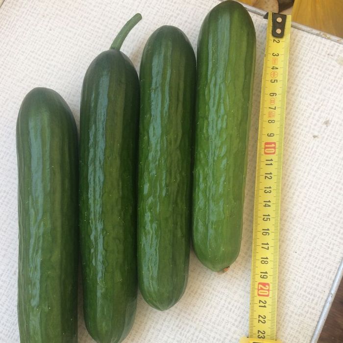 Продам  Стринги для худеньких и бритых