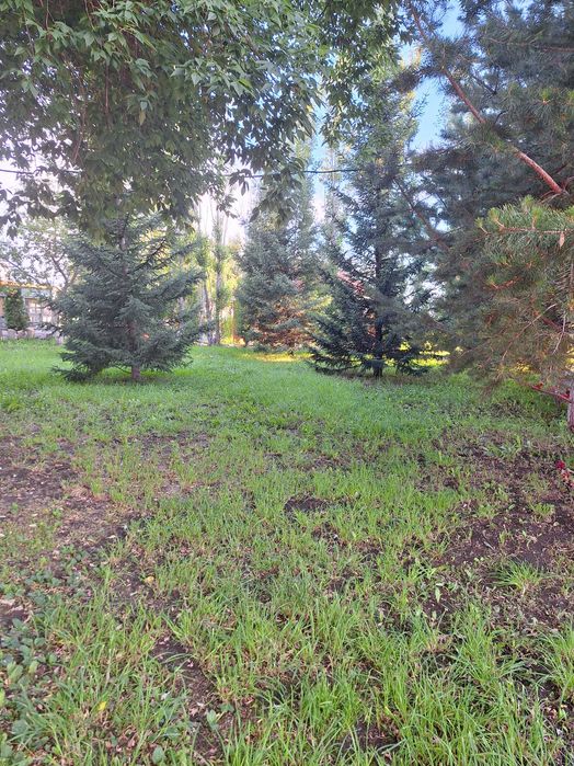 Загородный домик