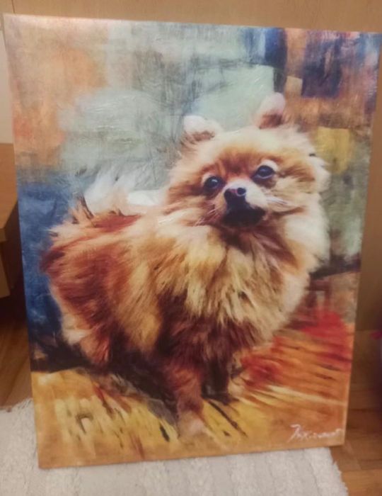 Картина на куче 46//60см масло подписана