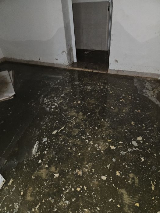 Servicii Profesionale de Curățenie Pitești – Case, Birouri, Scări Bloc