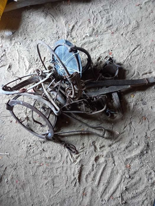 Қақпан әр түрлі 7-8 дана