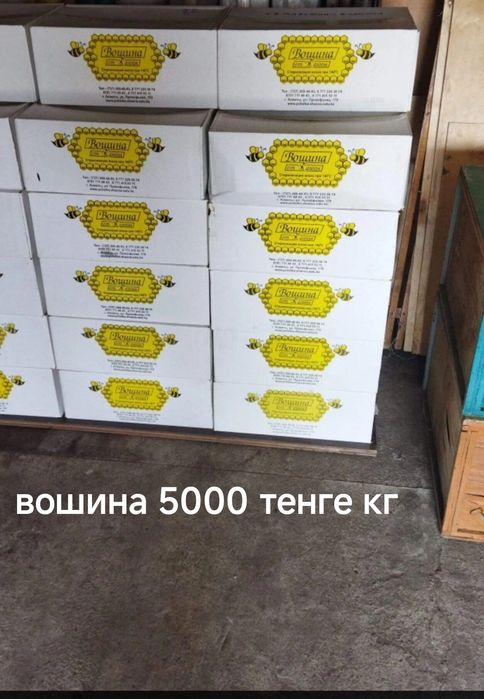 Продам пчелорамки и вошину