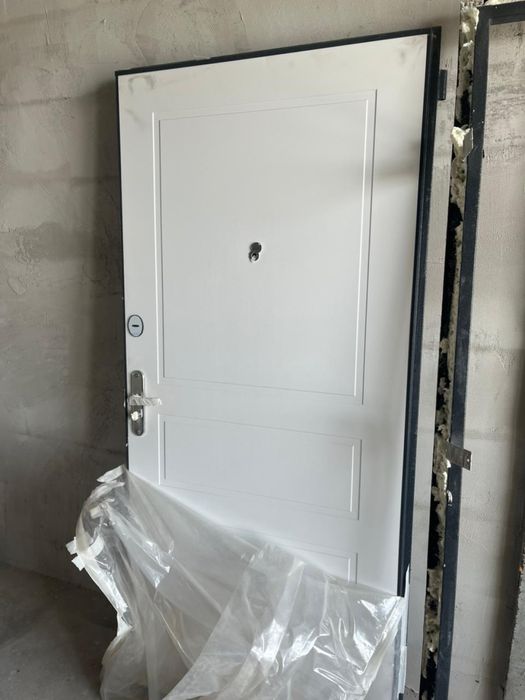 Входная дверь железная