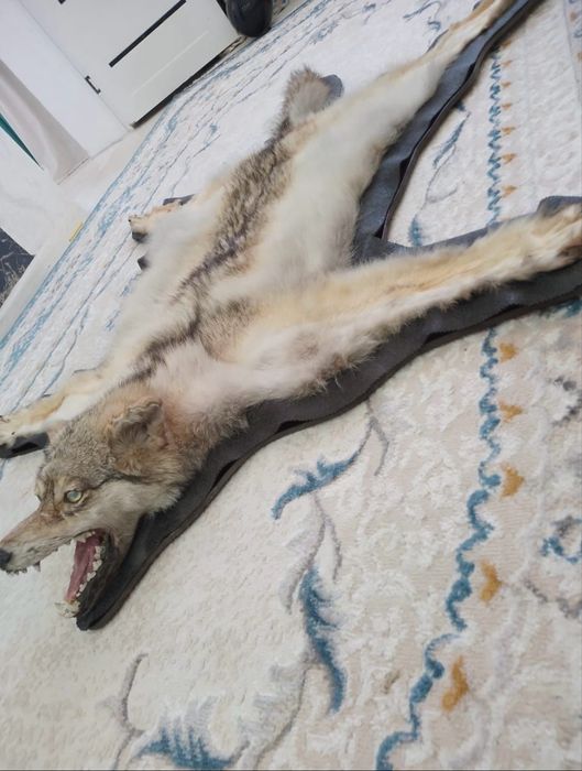 Продаем ш к у р у   Арлан