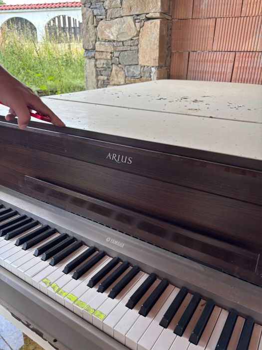 Роял Yamaha Arius