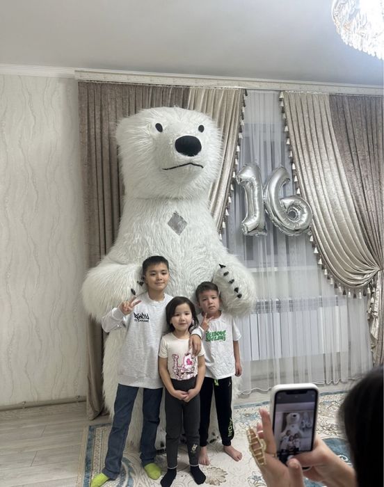 Мишка/ак аю/белый медьведь