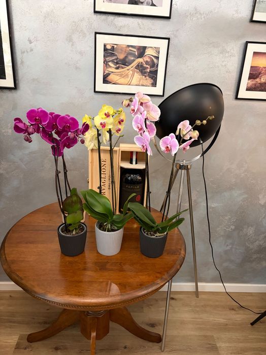 Restaurant de vanzare