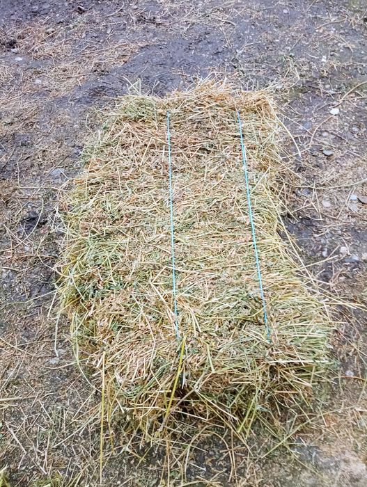 Vând Baloti Lucerna Coasa 1 si 2