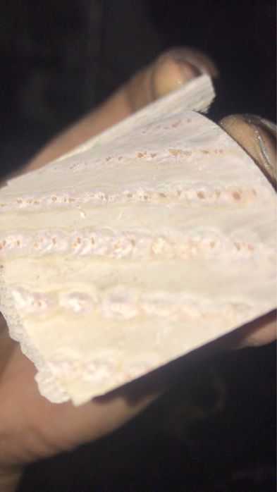 Принимаю катализаторы