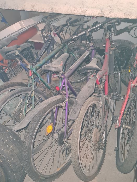 Diverse modele de biciclete