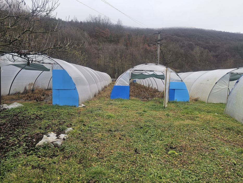 Arce solar sau  solar !