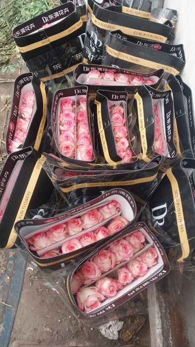 Розы на продажу крупные