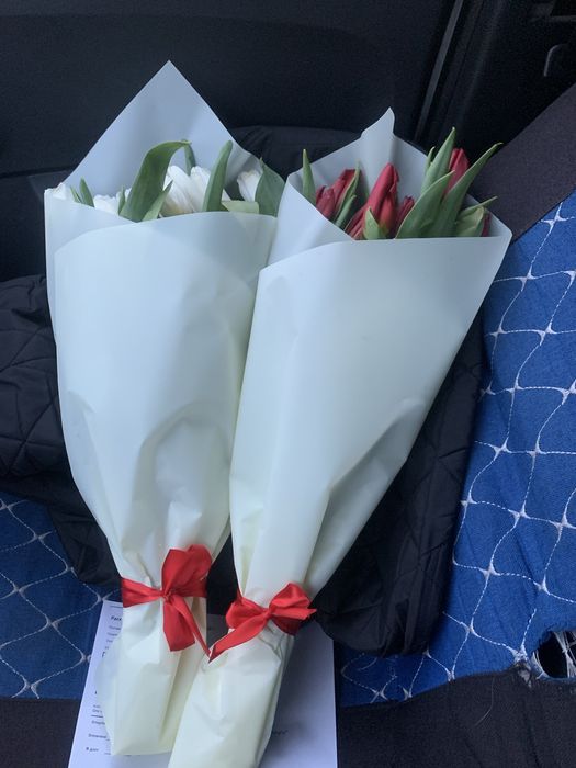 Тюльпаны по низкой цене