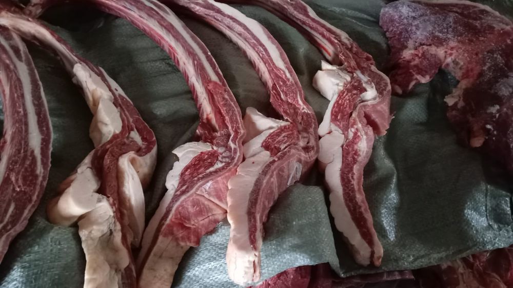 Продам согым, конина