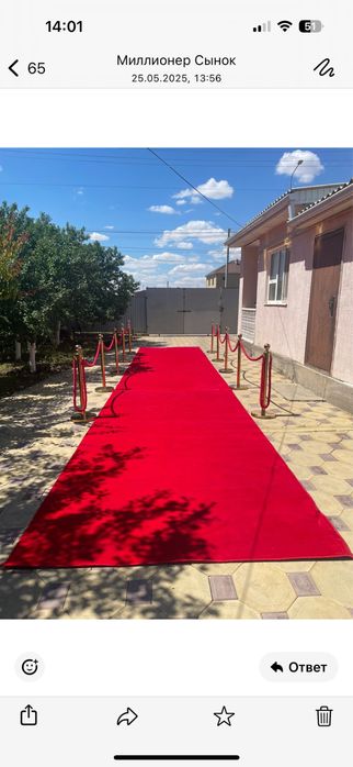 Журек каркаспен ерекше құттықтау