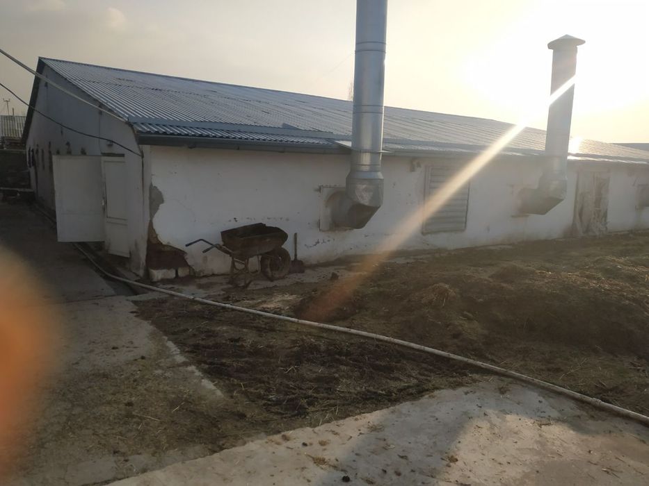 Сотилади Келес Новоида Каттеж Учун Желой Жой 48 соту проектлари бор