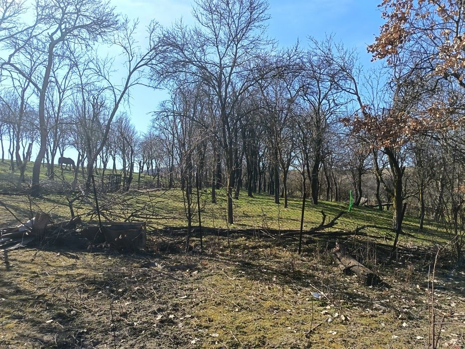 Casa și teren de vanzare