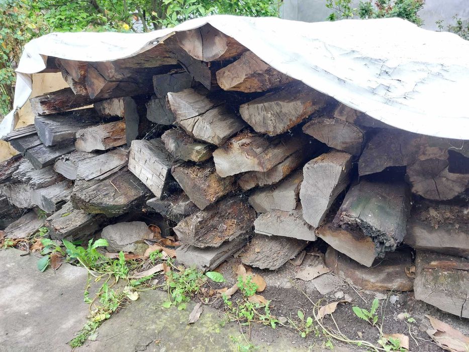 Grinzi Vechi Brad Si Stejar Lemn pentru prelucrare de peste 130 ani !