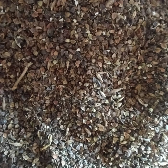 Зерноотходы, гречка, отруби.