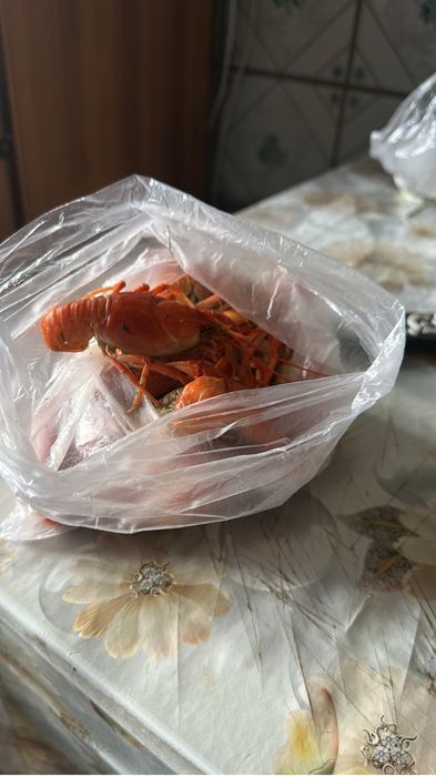 Отдам щенков бесплатно