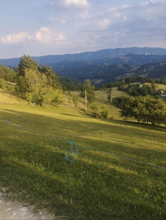 Teren intravilan + casa + cabana + teren Extravilan 1,4Hectare