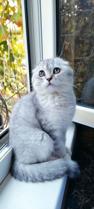 Rus sargish Ninette ishtirokidagi barcha porno filmlar