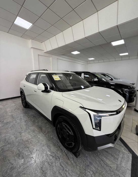 Dongfeng Nammi 06 2026