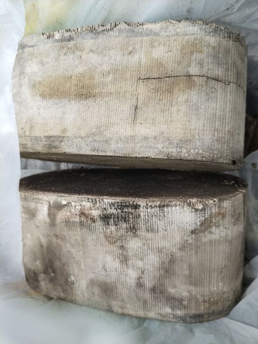 Католизатор кабылдаймыз