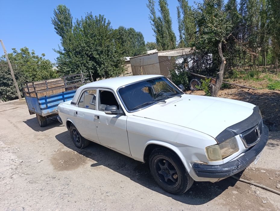 Volga 3110 prsepi biln
