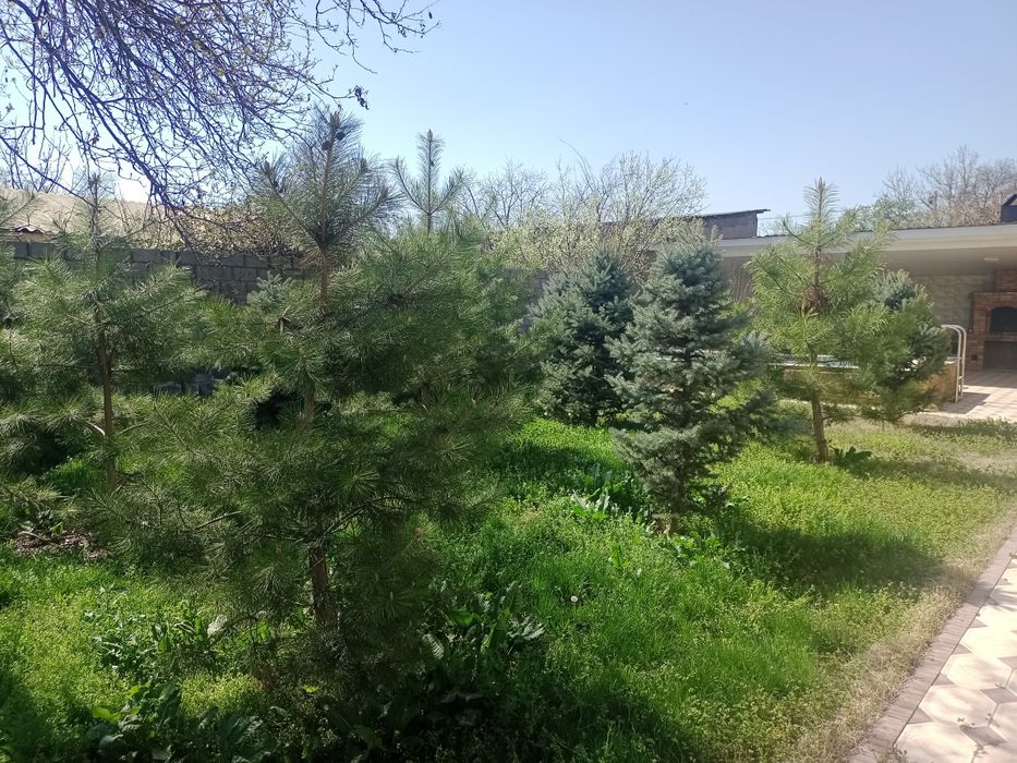 Продажа дома на Кайнар Булаке