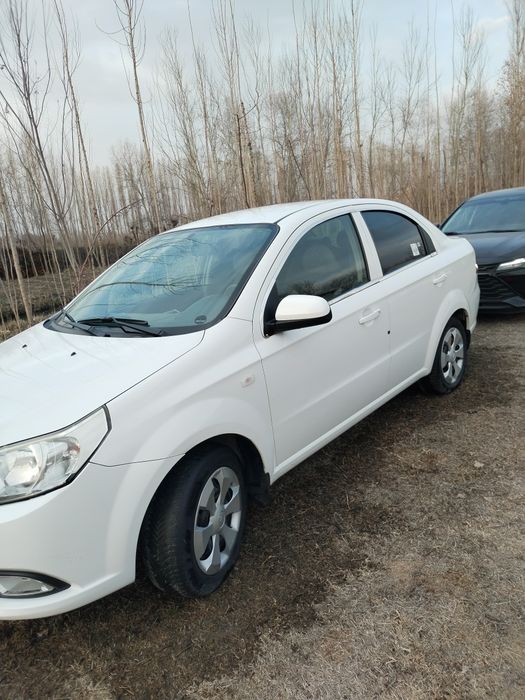 Nexia 3 xamma kraskasi radnoy